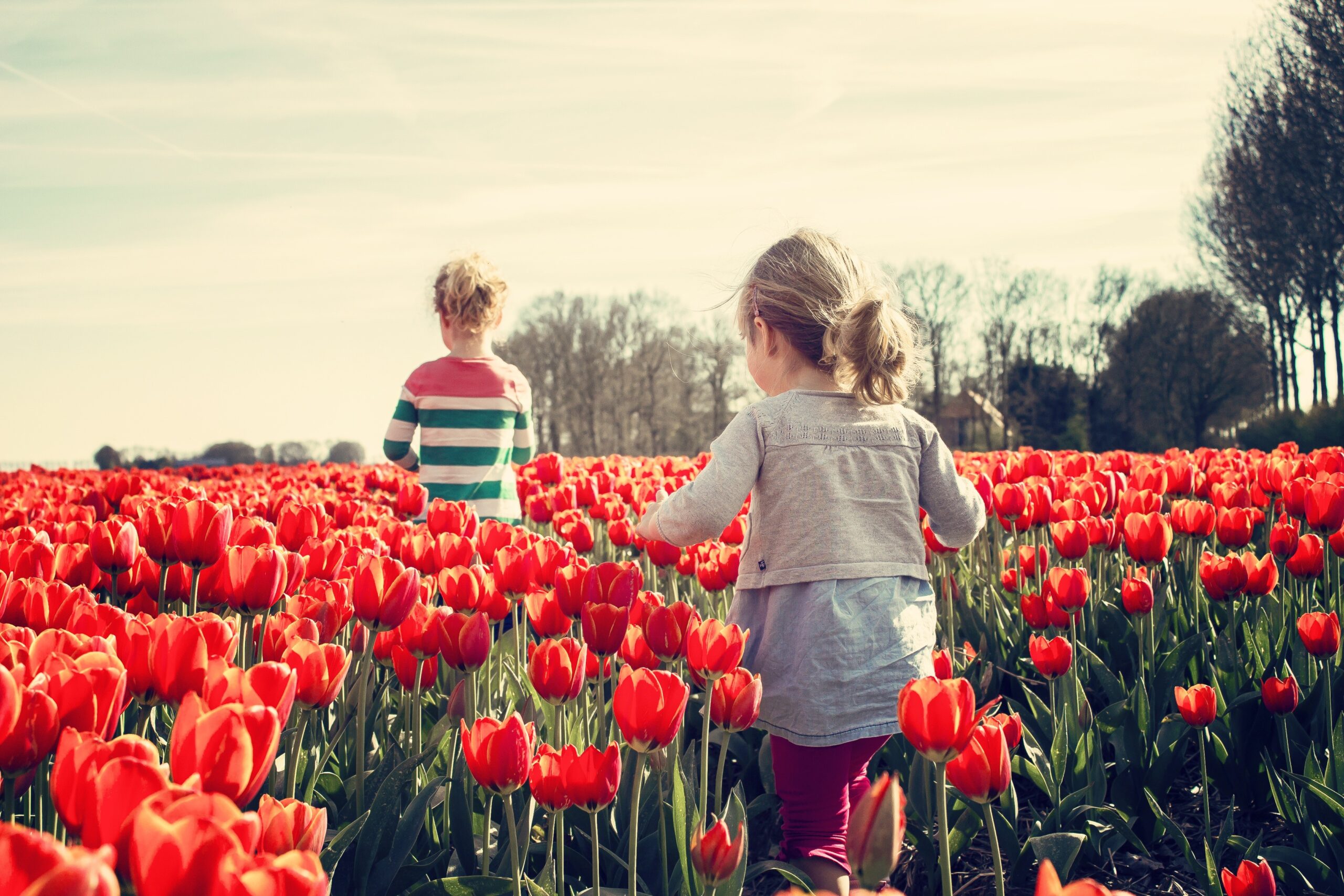 Foto van 2 kinderen in een veld van rode tulpen