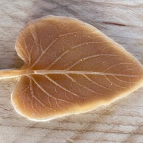 Natuuratelier