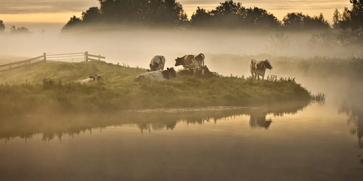IFFG Klimaatweek '23 | Holland - Natuur in de Delta
