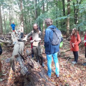 Wildplukdagen LIngebos