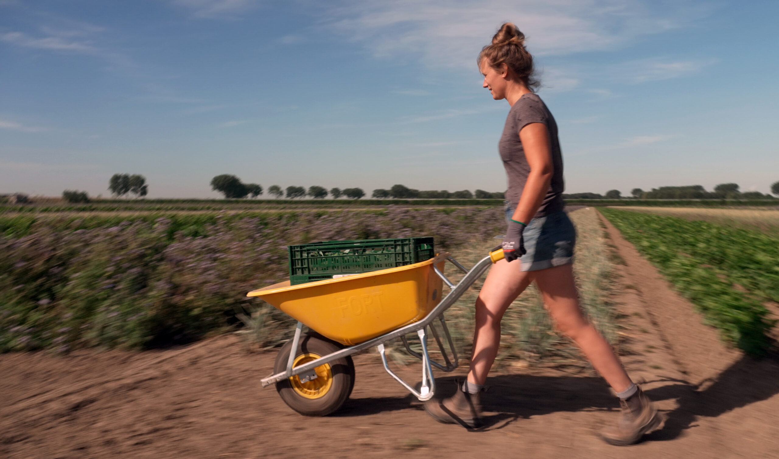 vrouw-met-kruiwagen