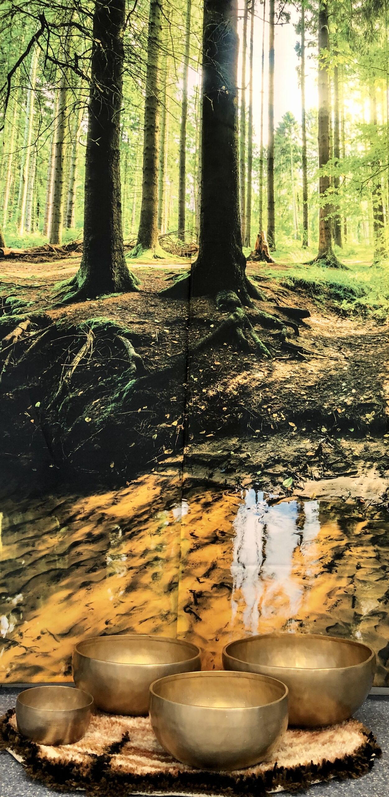 Fête de la Nature - Klankschalen groepssessie