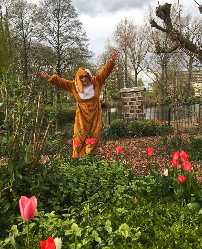 De Jacht op het Gouden Ei