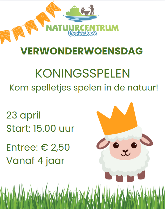 VerwonderWoensdag: Koningsspelen