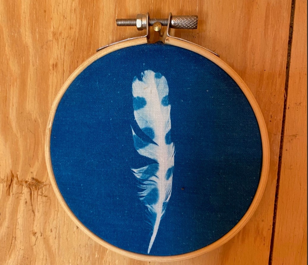 Natuuratelier - Workshop Cyanotypie