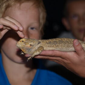 Exodus Serpenti tijdens de Kinderboekenweek