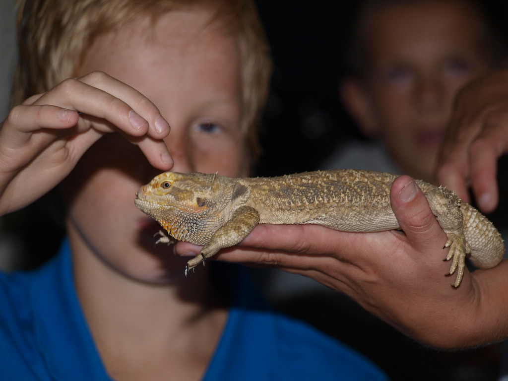 Exodus Serpenti tijdens de Kinderboekenweek