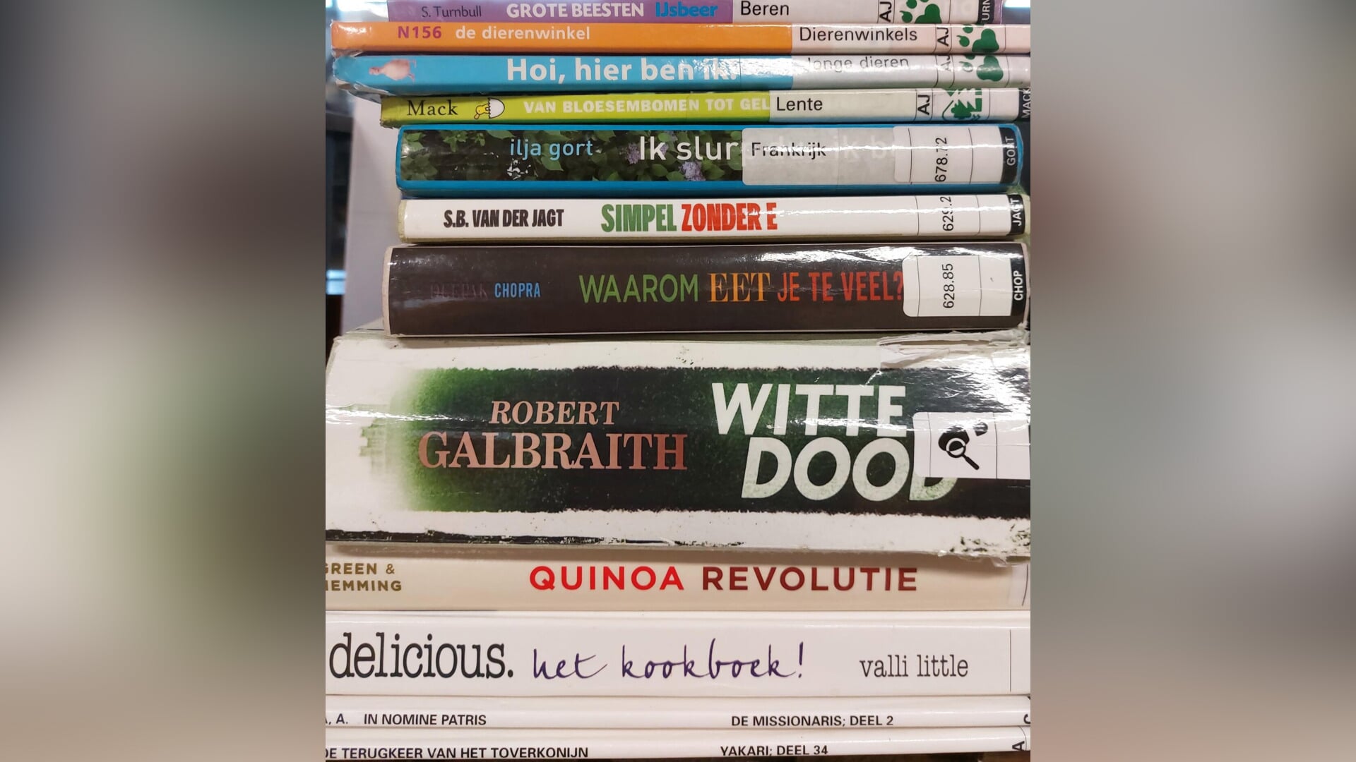 Culturele zondag: Boekenverkoop